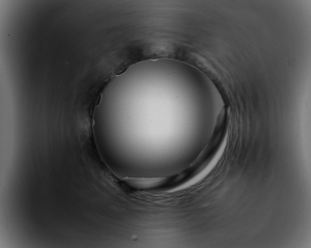 X0000092210617200709210951