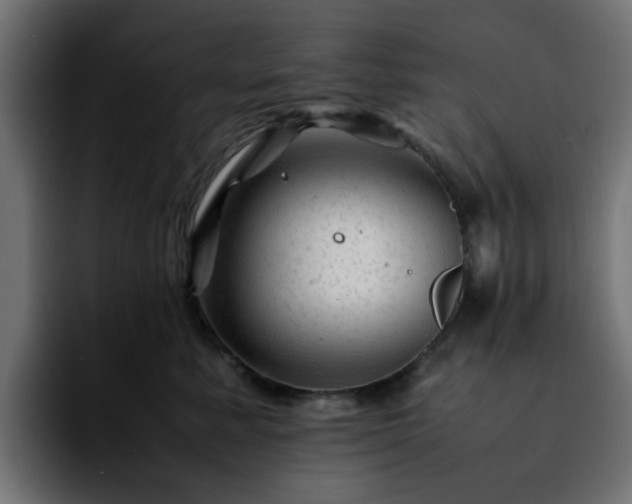 X0000092210619200709210951