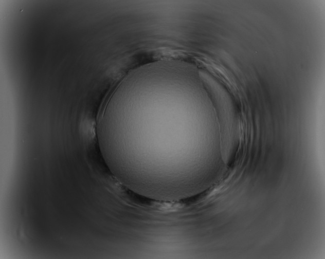 X0000092210621200709210951