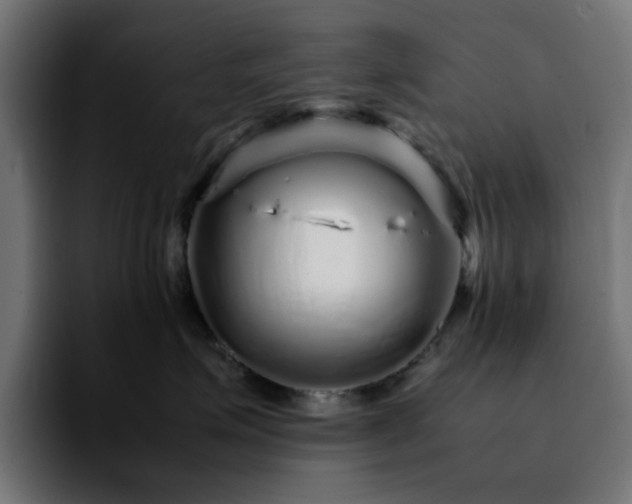 X0000092210623200709210951