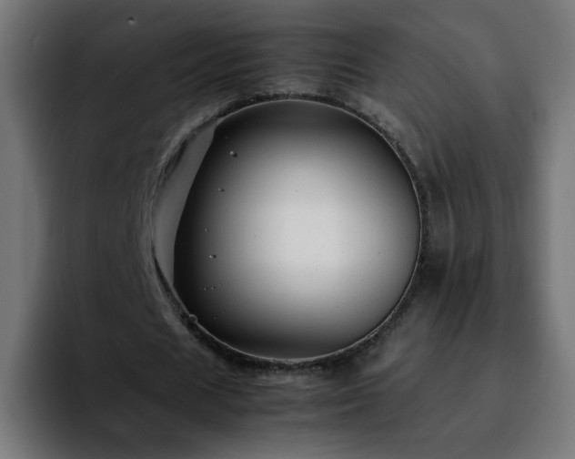 X0000092210625200709210950