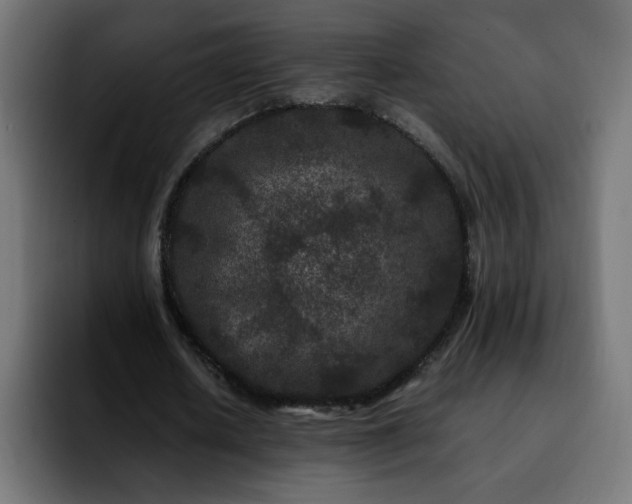 X0000092210626200709210950