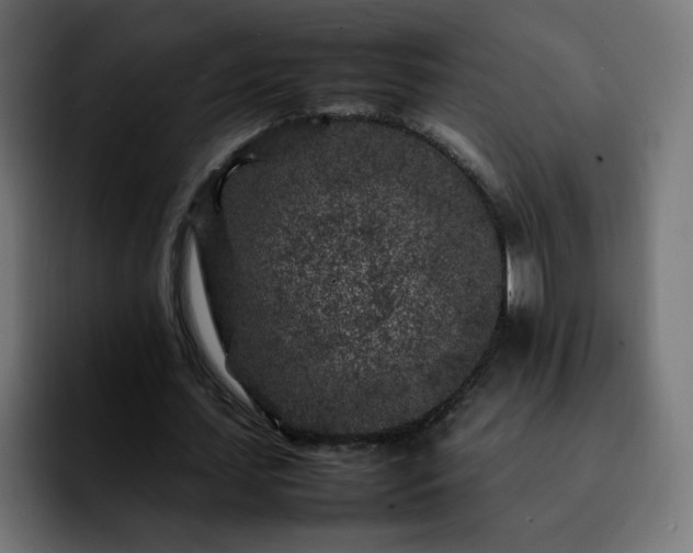 X0000092210627200709210950