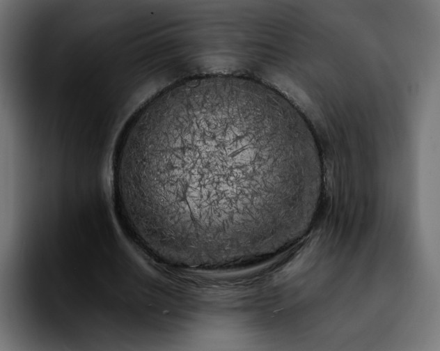 X0000092210630200709210950