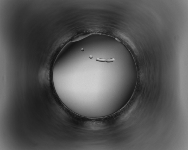 X0000092210633200709210950