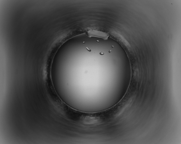 X0000092210635200709210950