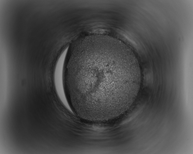 X0000092210641200709210950