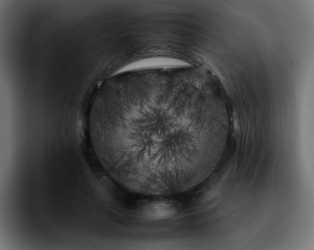 X0000092210643200709210950