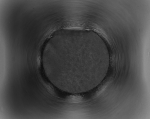 X0000092210644200709210950