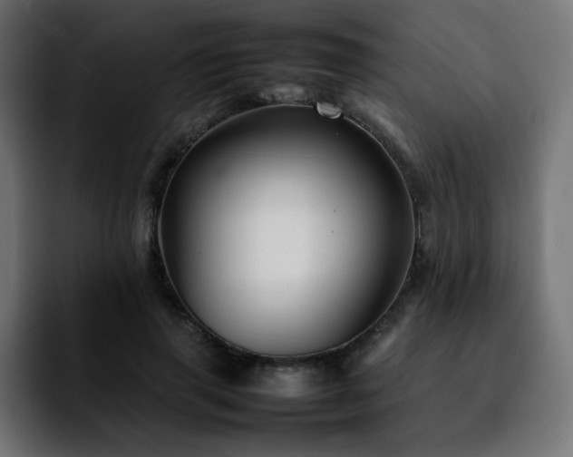 X0000092210645200709210950