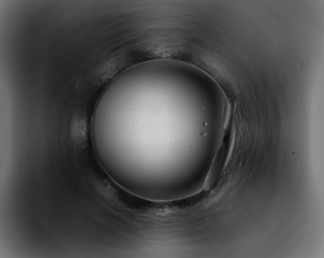 X0000092210646200709210950