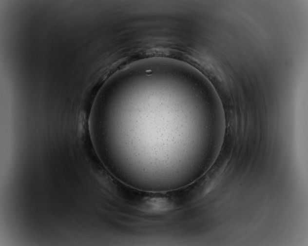 X0000092210649200709210950