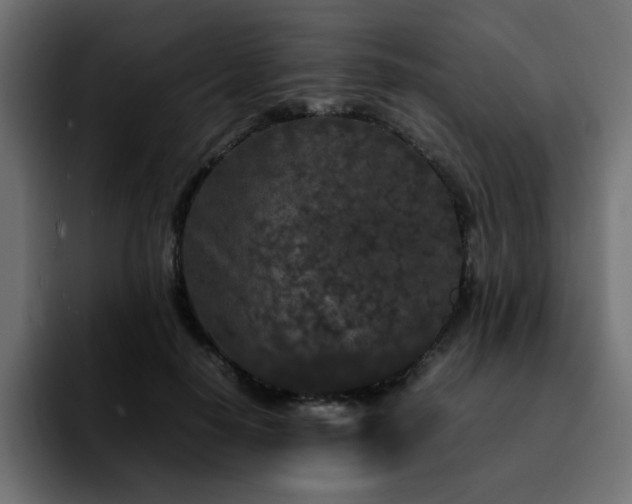 X0000092210650200709210950