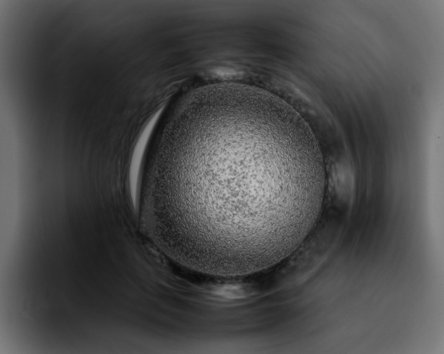 X0000092210651200709210950