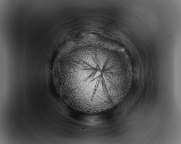 X0000092210653200709210950