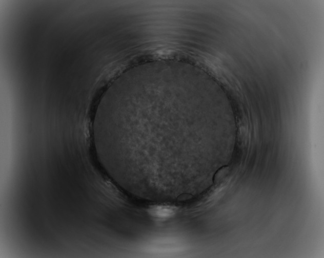 X0000092210654200709210950