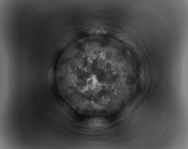 X0000092210659200709210951