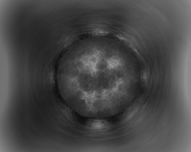 X0000092210663200709210951