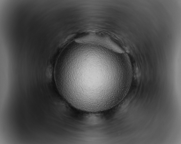 X0000092210664200709210951