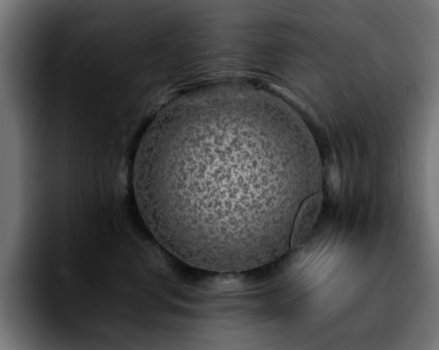 X0000092210668200709210951