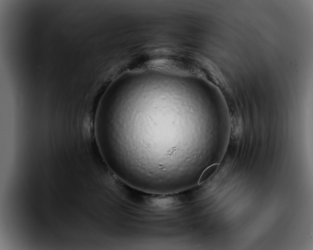 X0000092210669200709210951