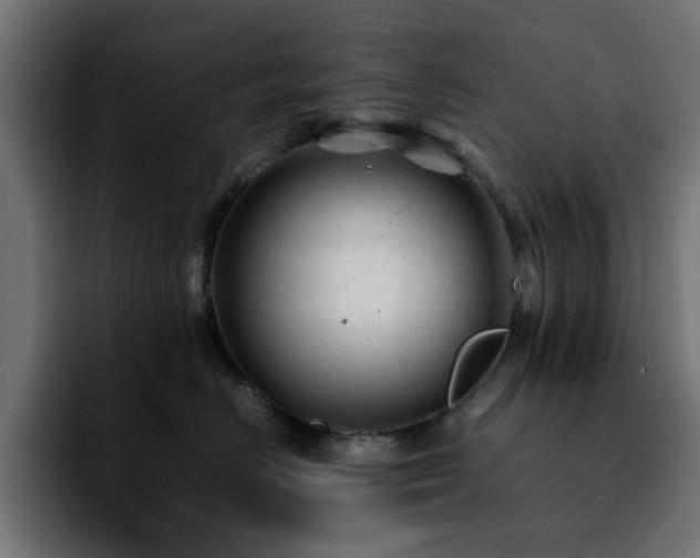 X0000092210670200709210951