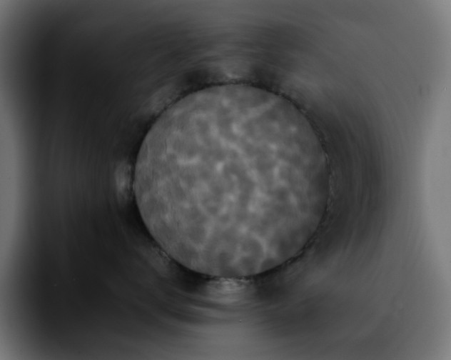 X0000092210672200709210951