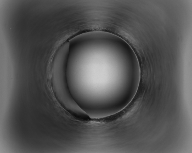 X0000092210673200709210950