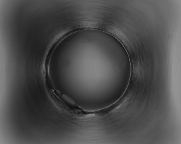 X0000092210674200709210950