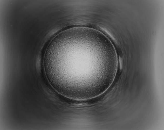 X0000092210675200709210950