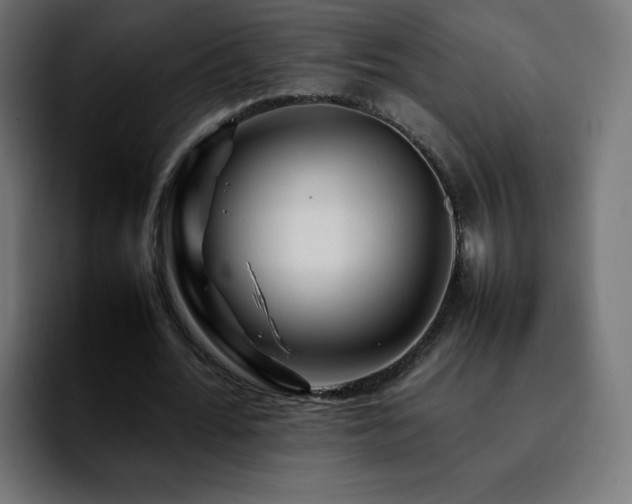 X0000092210676200709210950