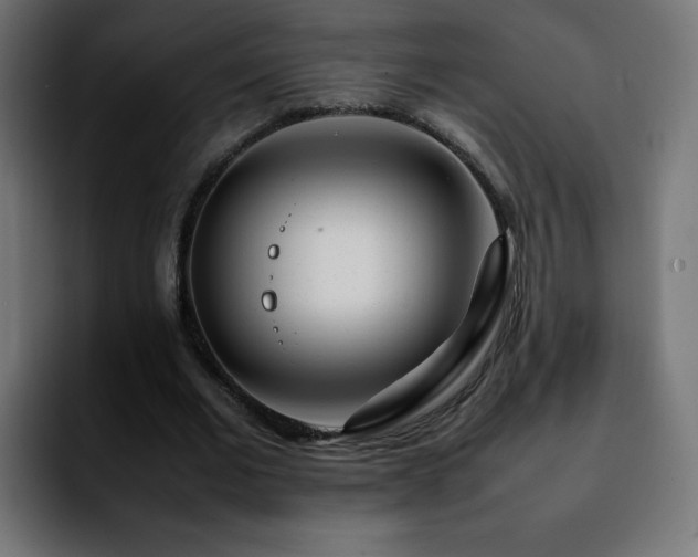 X0000092210677200709210950