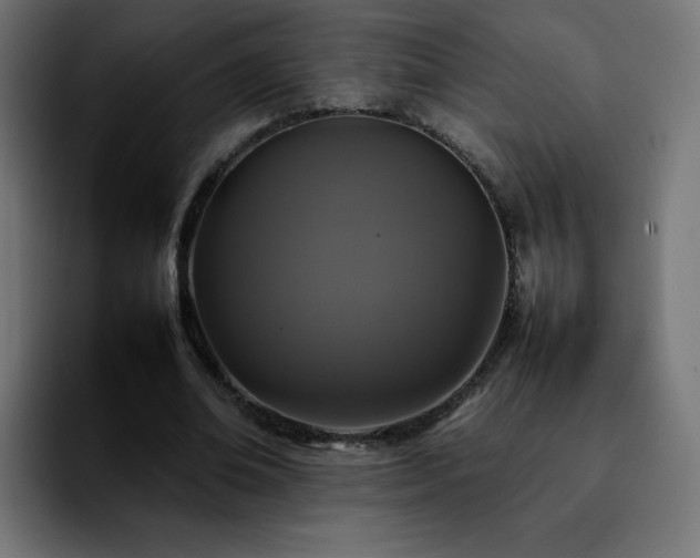 X0000092210678200709210950