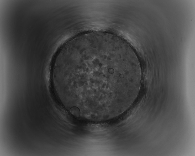 X0000092210679200709210950