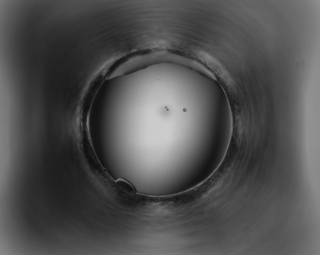 X0000092210680200709210950