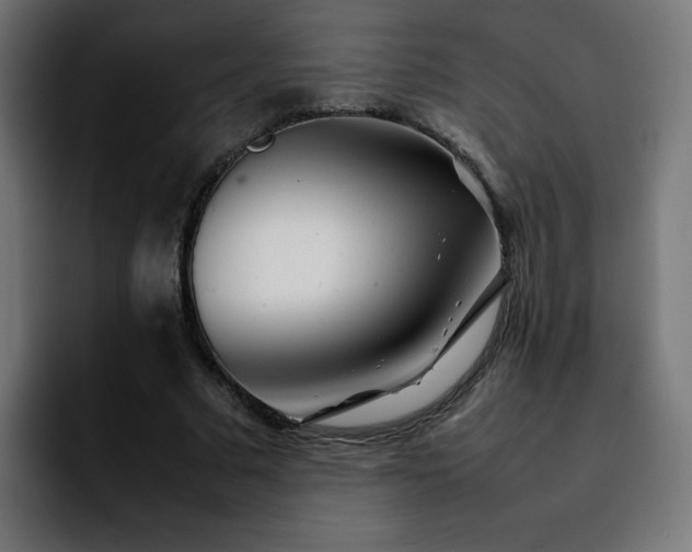 X0000092210681200709210950