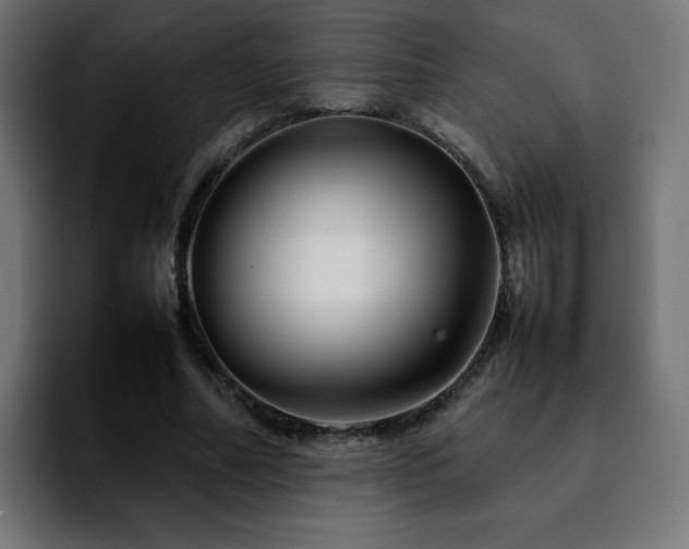 X0000092210682200709210950