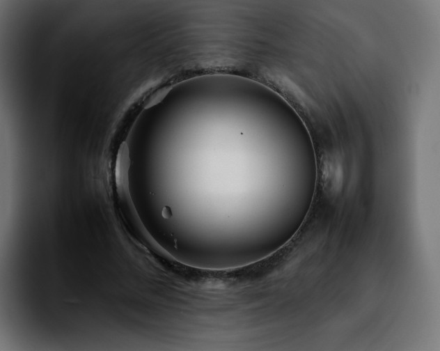 X0000092210684200709210950