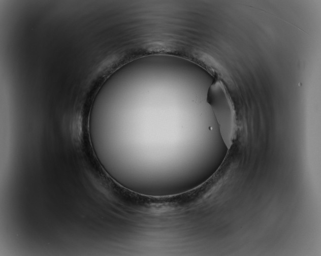 X0000092210686200709210950