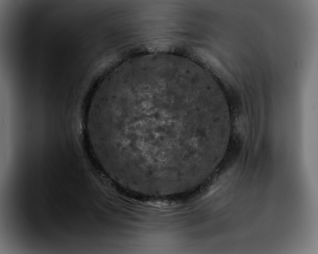 X0000092210687200709210950