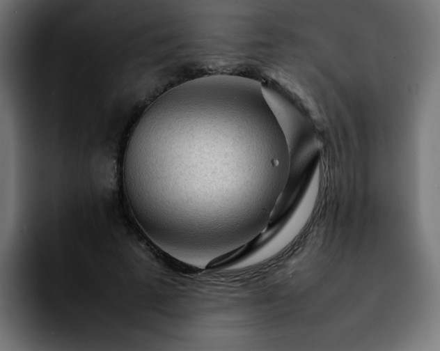 X0000092210689200709210950