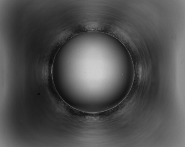 X0000092210690200709210950