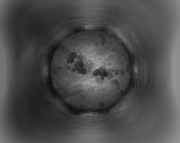 X0000092210691200709210950