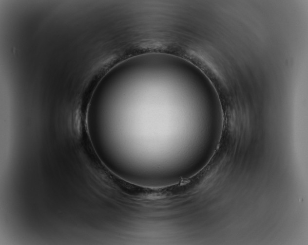 X0000092210692200709210950