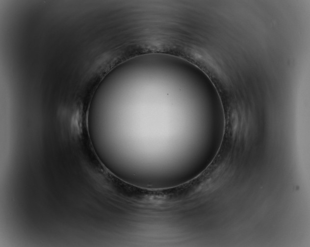 X0000092210694200709210950