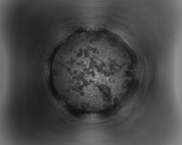 X0000092210695200709210950