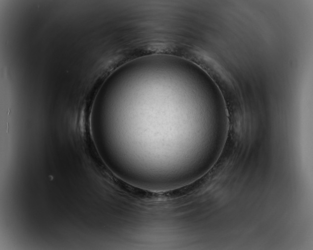 X0000092210696200709210950