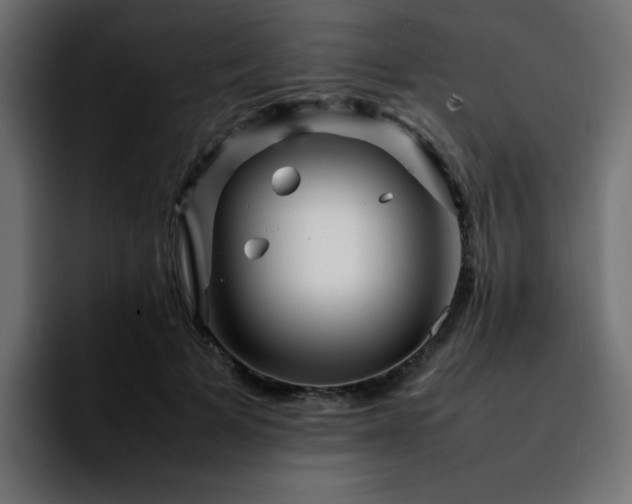 X0000092210697200709210950