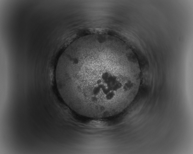 X0000092210699200709210950