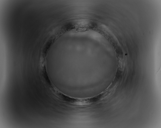 X0000092210701200709210950